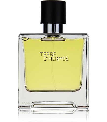 Amazon.com : HERMES Terre DHermes Eau Intense Vetiver Men 6.7 oz